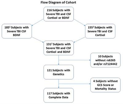 Cerebrospinal Fluid Cortisol Mediates Brain-Derived Neurotrophic Factor Relationships to Mortality after Severe TBI: A Prospective Cohort Study